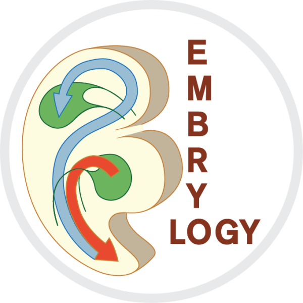 Embryology main image